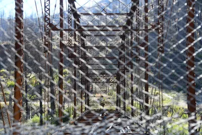 DSC_6477 (Large).JPG